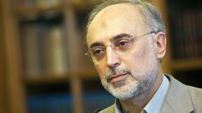 Iran’s FM: We Will Not Let Syria Falls Into the Hands of Israel or US